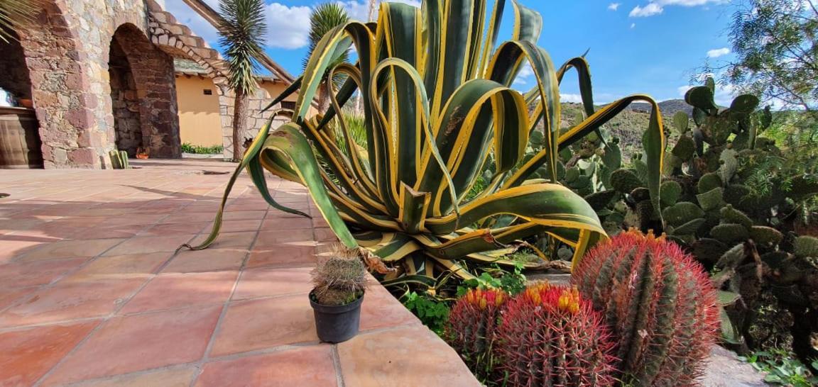 Hotel Rincon Magico Catorce Luaran gambar